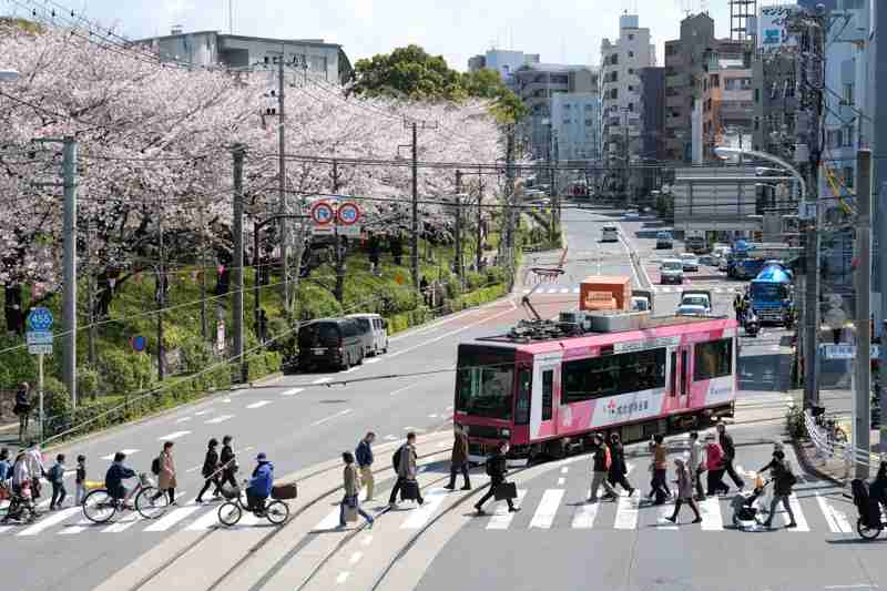 路面電車がある地域に住んでいる方！