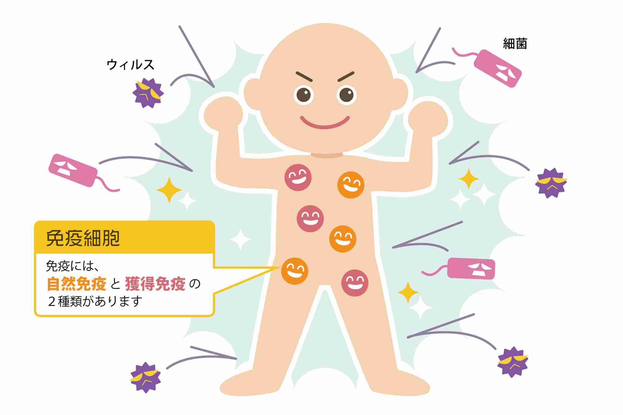 季節の変わり目に免疫力アップ！