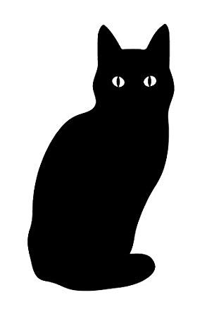 例えその身が焼かれようとも、炎の中に5回飛び込み5匹の子猫を助け出した母猫の物語【微閲覧注意】