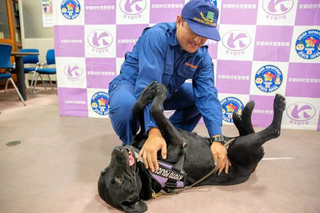 30分前まで食事…行方不明に　におい嗅ぎ、1時間で見つけた警察犬