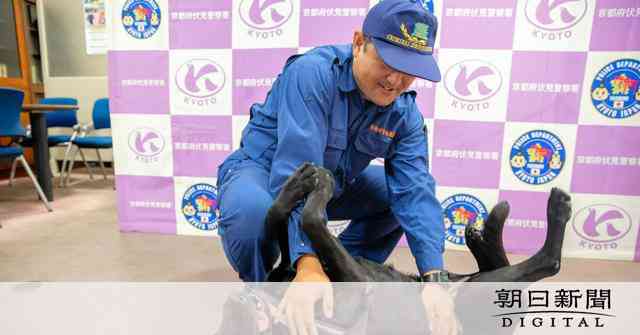 30分前まで食事…行方不明に　におい嗅ぎ、1時間で見つけた警察犬 [京都府]：朝日新聞デジタル