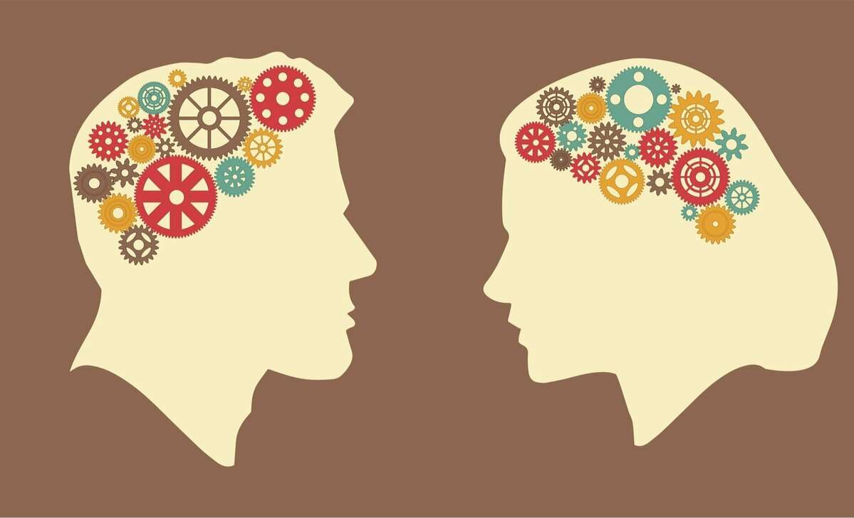 男性より女性の「脳梁が太い」は間違いだった？「男性脳」「女性脳」は本当にあるのか生物学的に読み解く | AERA dot. (アエラドット) 