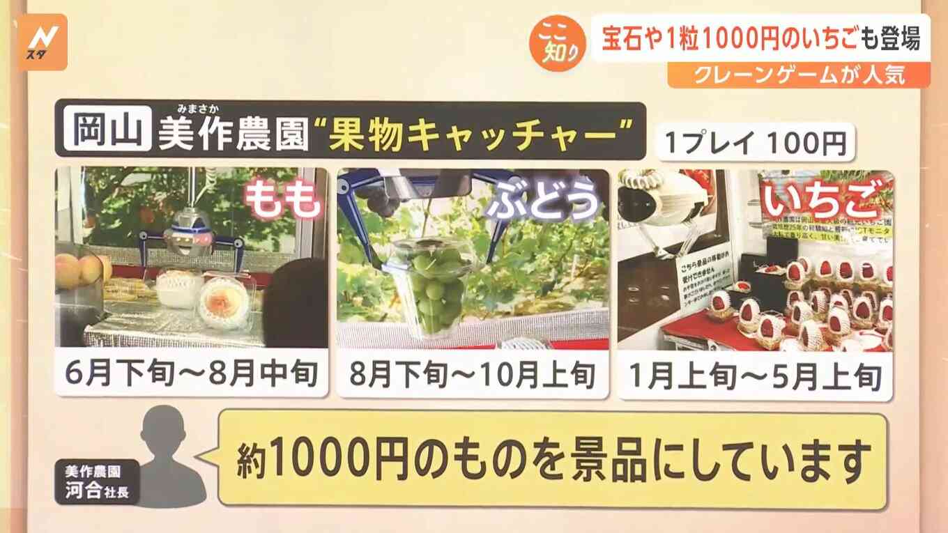 「クレーンゲーム」第3次ブーム、市場規模3000億円超、異業種からも続々参入【Nスタ解説】