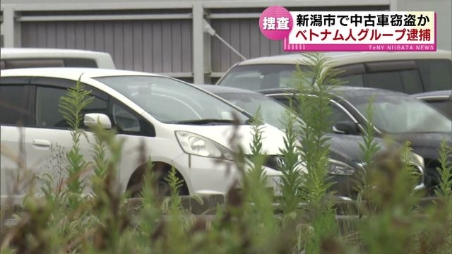 ベトナム人の窃盗グループ逮捕　中古車販売店から複数台の車を盗んだ疑い　旧ビッグモーター連続窃盗事件にも関与か　《新潟》（TeNYテレビ新潟） - Yahoo!ニュース