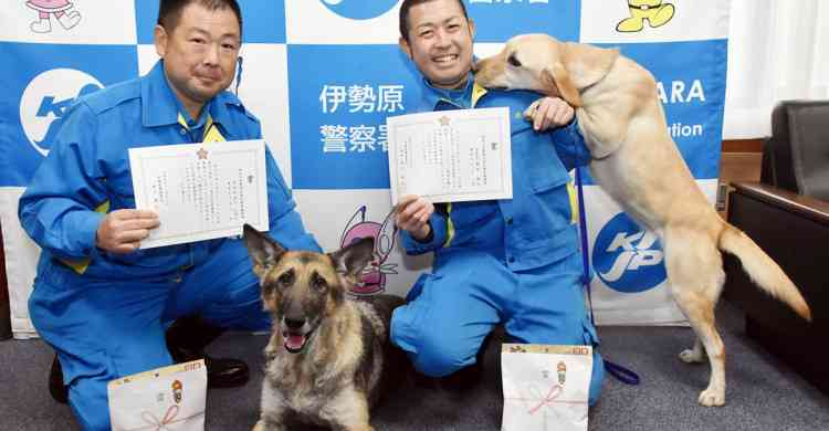 行方不明の男性探せ…神奈川県警の警察犬がお手柄、３０分で発見　ご褒美は | カナロコ by 神奈川新聞