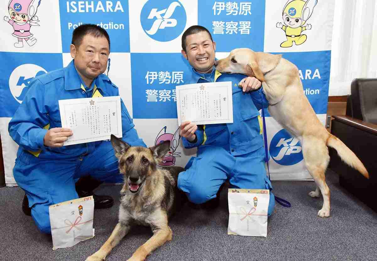 行方不明の男性探せ…神奈川県警の警察犬がお手柄、30分で発見 ご褒美は