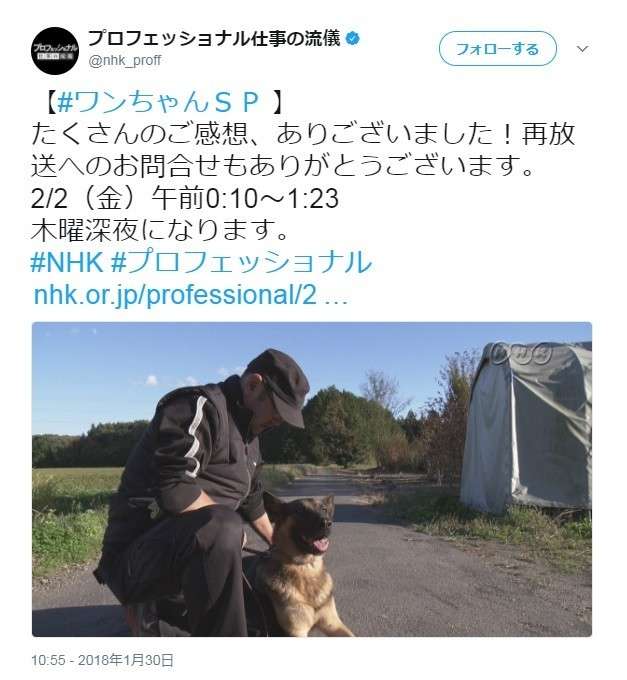 NHK「プロフェッショナル」に大反響「戦い続ける」犬の訓練士、その真意と信念を聞いた