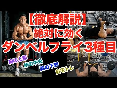 【胸トレ】最強の大胸筋を作るダンベルチェストフライ3種目を徹底解説です。初心者の方でも自宅でのトレーニングの方も出来るやり方あります。