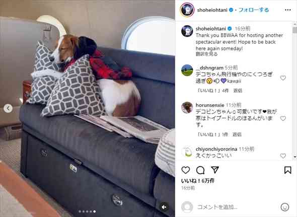大谷翔平、世界一の喜び投稿　最大の注目はデコピンの表情「完全に二日酔いのドジャースファンで草」