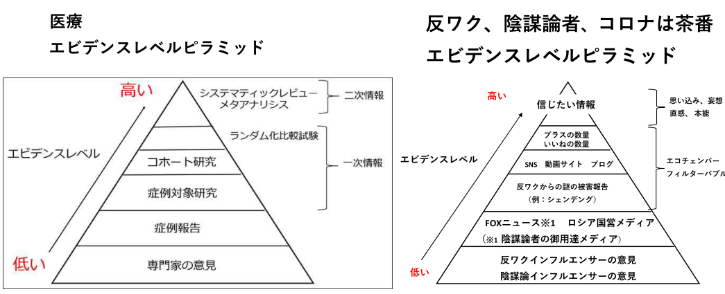 誤情報が拡散するレプリコンワクチン 有効性と安全性は確認されていても、なぜ専門家が「現時点では選択する理由がない」と話すのか