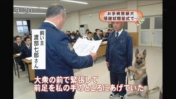 行方不明の男性探せ…神奈川県警の警察犬がお手柄、30分で発見 ご褒美は