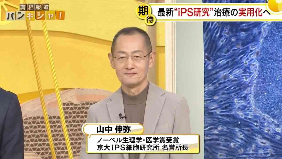「がん治療」に新たな光も…最新“iPS研究”山中伸弥教授が解説 「my iPS」で拒絶反応と費用の壁解消へ【バンキシャ！】（2024年11月25日掲載）｜日テレNEWS NNN