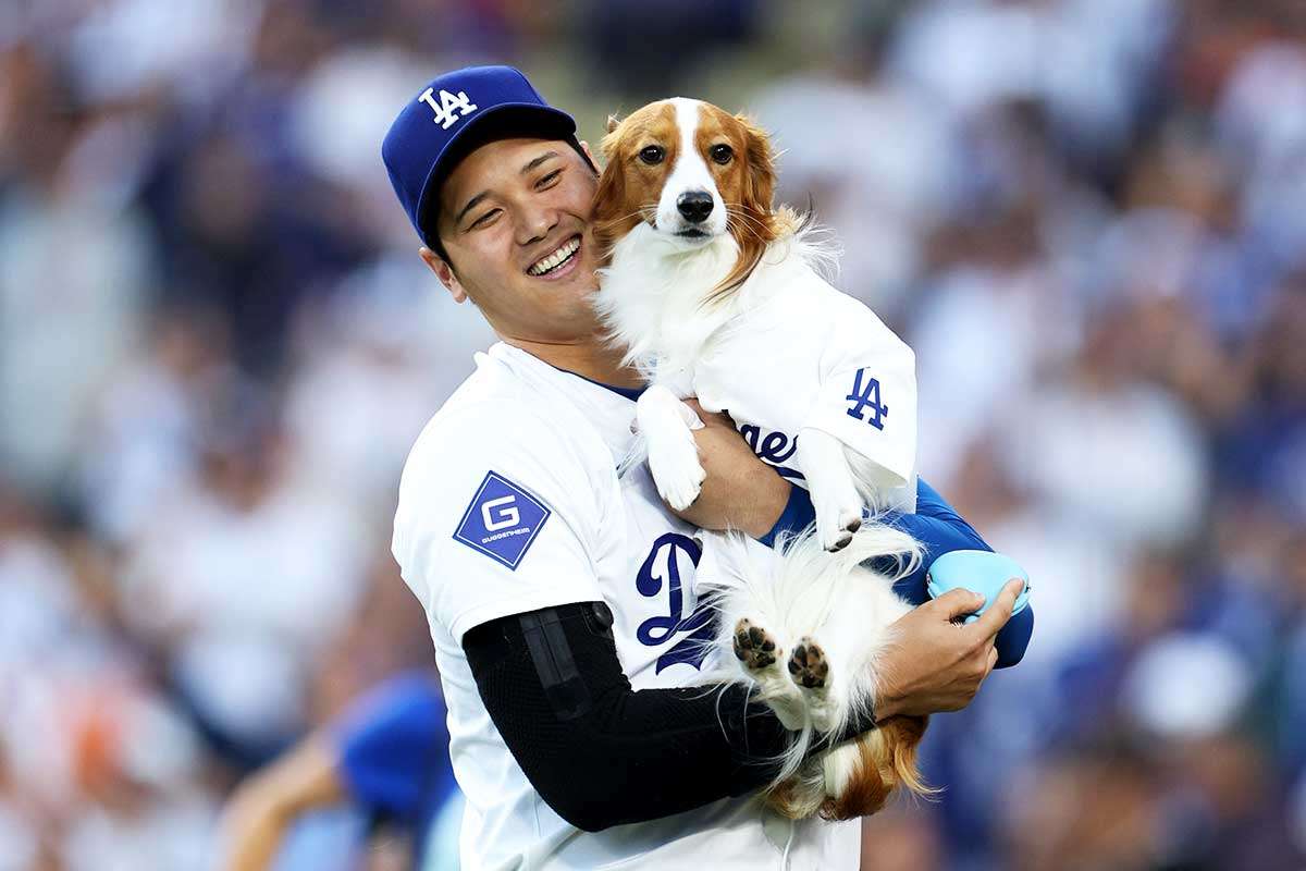 大谷翔平、世界一の喜び投稿　最大の注目はデコピンの表情「完全に二日酔いのドジャースファンで草」