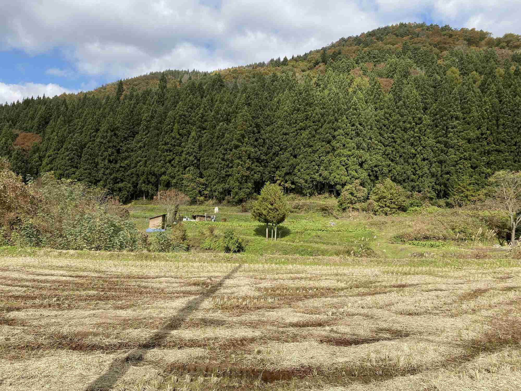 さては田舎の人だなと思わせてください