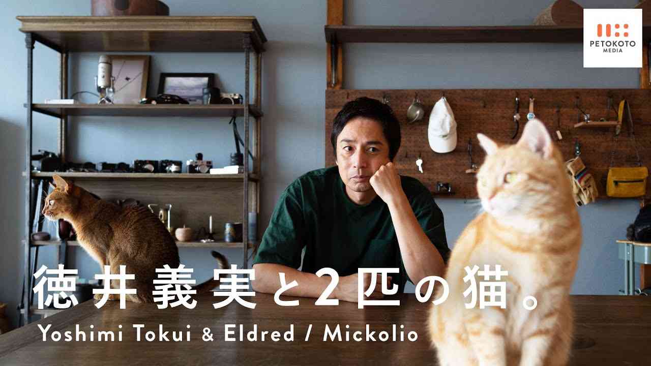 義家族の兄弟差