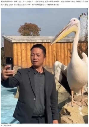動物園で自撮りした男性、横にいたペリカンの行動が爆笑を呼ぶ（中国）