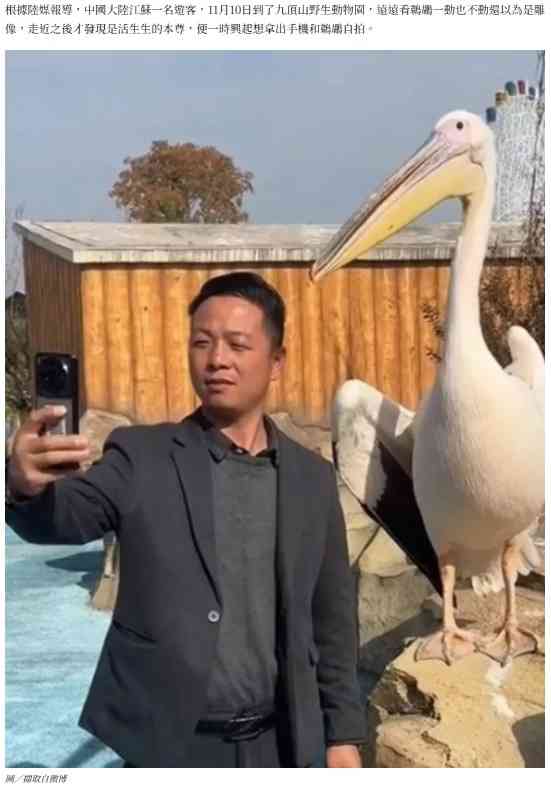 【海外発！Breaking News】動物園で自撮りした男性、横にいたペリカンの行動が爆笑を呼ぶ（中国）＜動画あり＞ | Techinsight（テックインサイト）|海外セレブ、国内エンタメのオンリーワンをお届けするニュースサイト