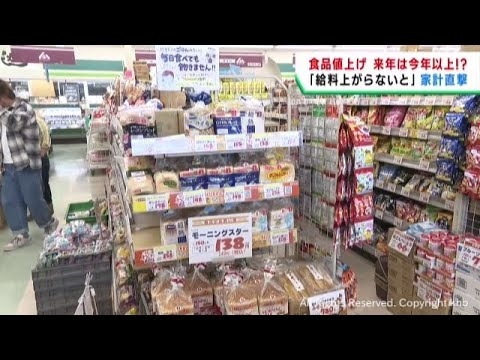 １１月は食品２８２品目が値上げ　２０２５年は更に値上げが進む