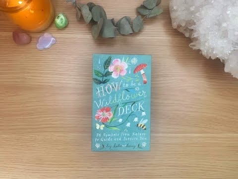 How To Be A Wildflower By Katie Daisy Walkthrough