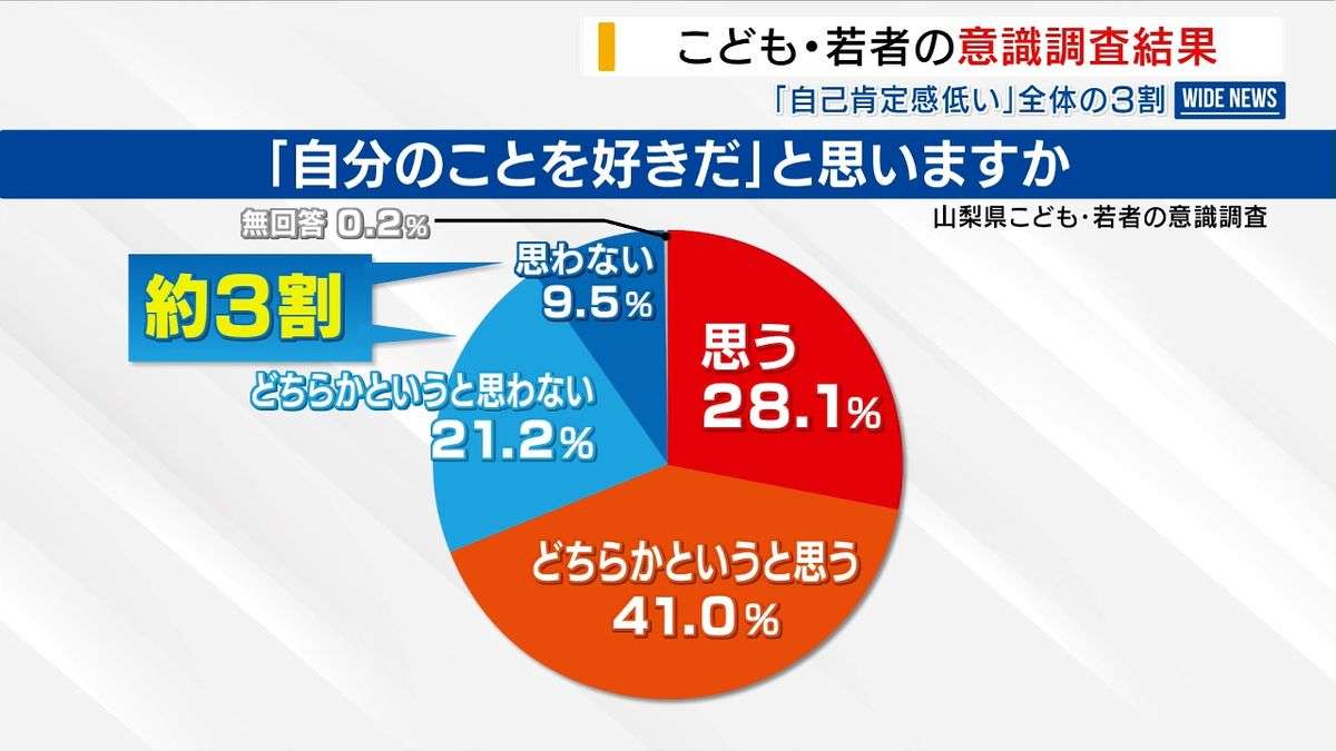 若者の3割「自分のこと好きじゃない」県の意識調査 17％が「将来に希望ない」山梨（2024年12月17日掲載）｜日テレNEWS NNN
