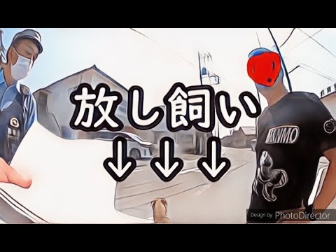【DQN】ピットブルをノーリードで違法に散歩させてるアホ飼い主に注意したらなぜか警察呼ばれたwww