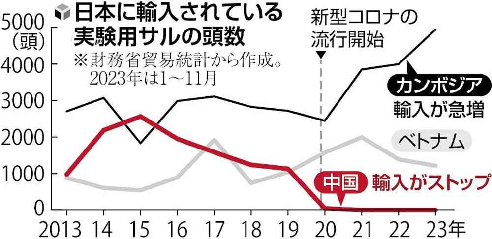 実験用サルの価格、コロナ流行前の５倍に高騰…中国輸出停止の影響か「２０頭で１億円以上必要」 : 読売新聞