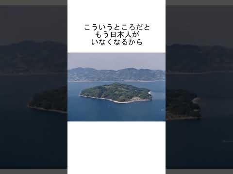 山口県の笠佐島が中国人に購入されてメガソーラーと国旗を掲げられる←これもう領土侵略だろ #shorts