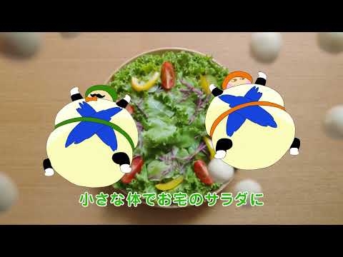 クラフトひとくちモッツァレラ「分身の術」篇 30秒