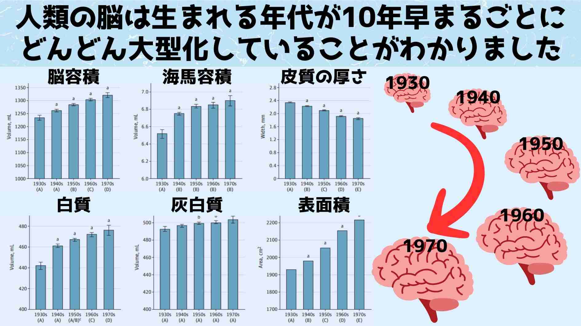 頭が大きい