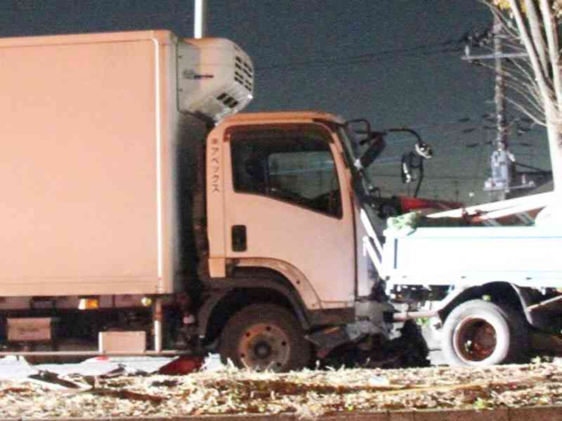 車に挟まれ…2人死亡、夕方トラックが突っ込み巻き添え　運転手「西日がまぶしくて」　緩やかな上り坂、片側2車線の直線道路…赤いパイロンを置くもトラック突入「見えにくくて」（埼玉新聞） - Yahoo!ニュース