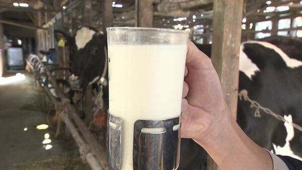 「コップ1杯牛乳多く飲んで」悲痛の叫び…日本の酪農家初1万戸割れ「半分が離農検討」コスト上昇で搾るほど赤字に　価格にも影響が「牛乳離れ」進む恐れも｜FNNプライムオンライン
