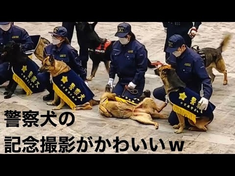行方不明の男性探せ…神奈川県警の警察犬がお手柄、30分で発見 ご褒美は