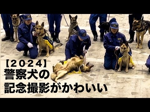 行方不明の男性探せ…神奈川県警の警察犬がお手柄、30分で発見 ご褒美は