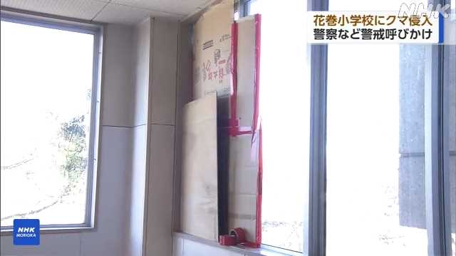 花巻小学校 校舎内にクマが入り込む 休校の措置｜NHK 岩手県のニュース