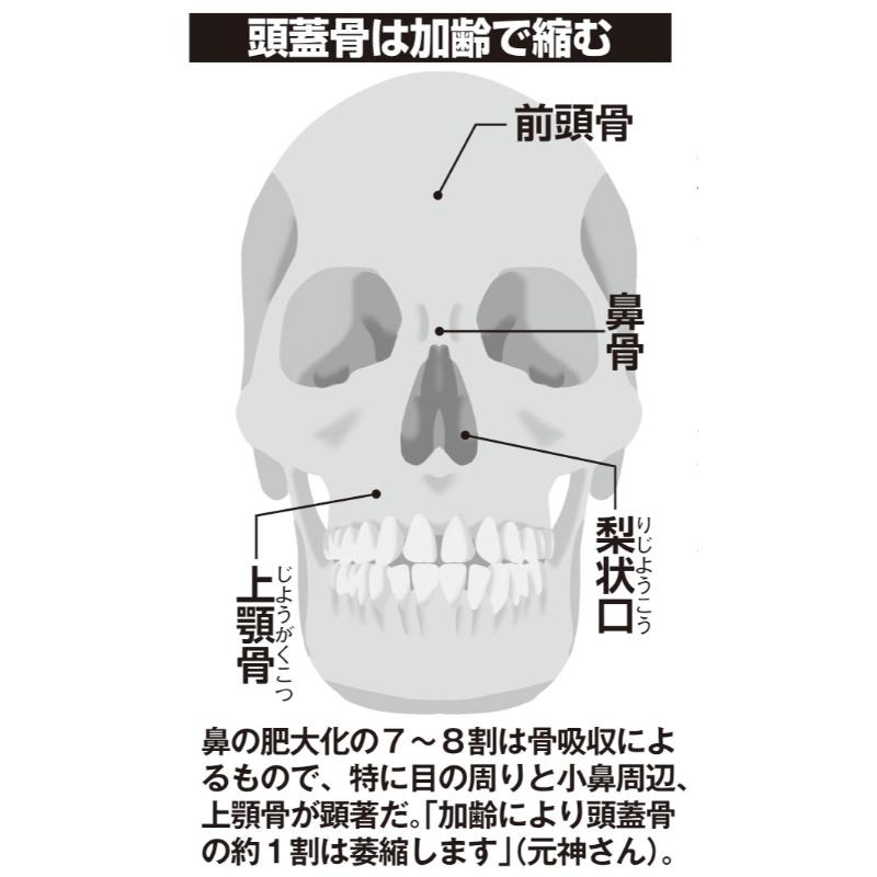 【謎】年を取ると鼻が巨大化する現象【何故？】
