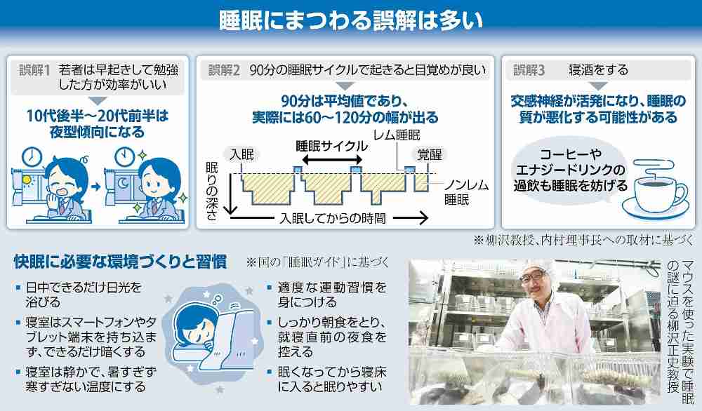 「寝だめ」できない、中高生は夜型で早朝の勉強は効率悪い…睡眠の「新常識」