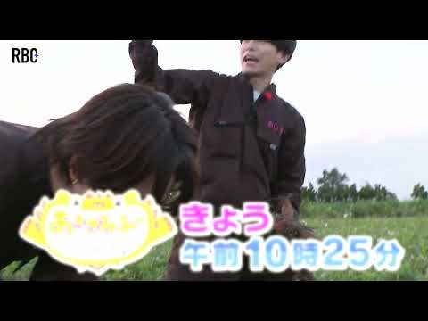 あきさみよーＩＭＰ.