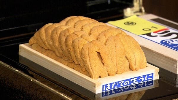 【独自】「これは美味しい…神々しかった」1貫40万円の「一番ウニ」　芸能人・経営者・歯科医・海外富裕層が堪能　甘さと香り際立つ味　食した人は…｜FNNプライムオンライン
