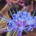 アダチ義子?非接種 on X