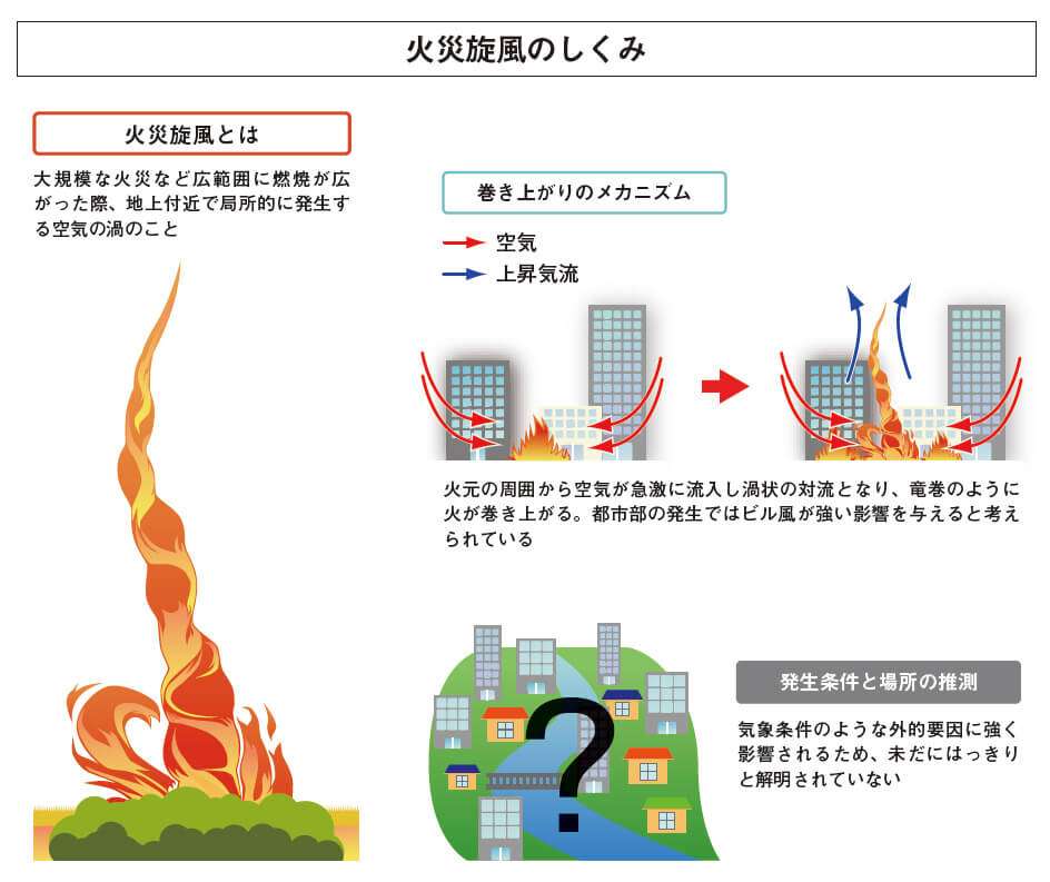 ロサンゼルス山火事の死者16人に…鎮圧は1割程度 対象地域で「夜間外出禁止令」略奪行為などで27人逮捕
