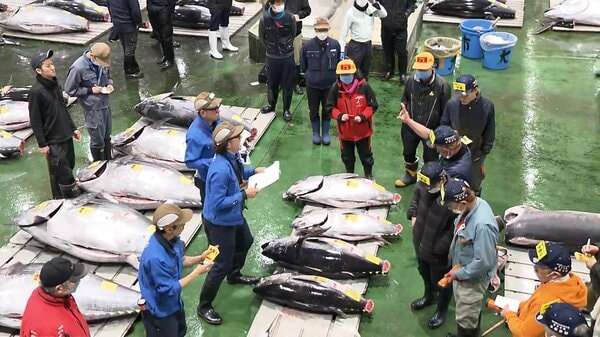 一番マグロに2億700万円　1999年以降で史上2番目の高値　東京・豊洲市場で新春恒例「初競り」｜FNNプライムオンライン