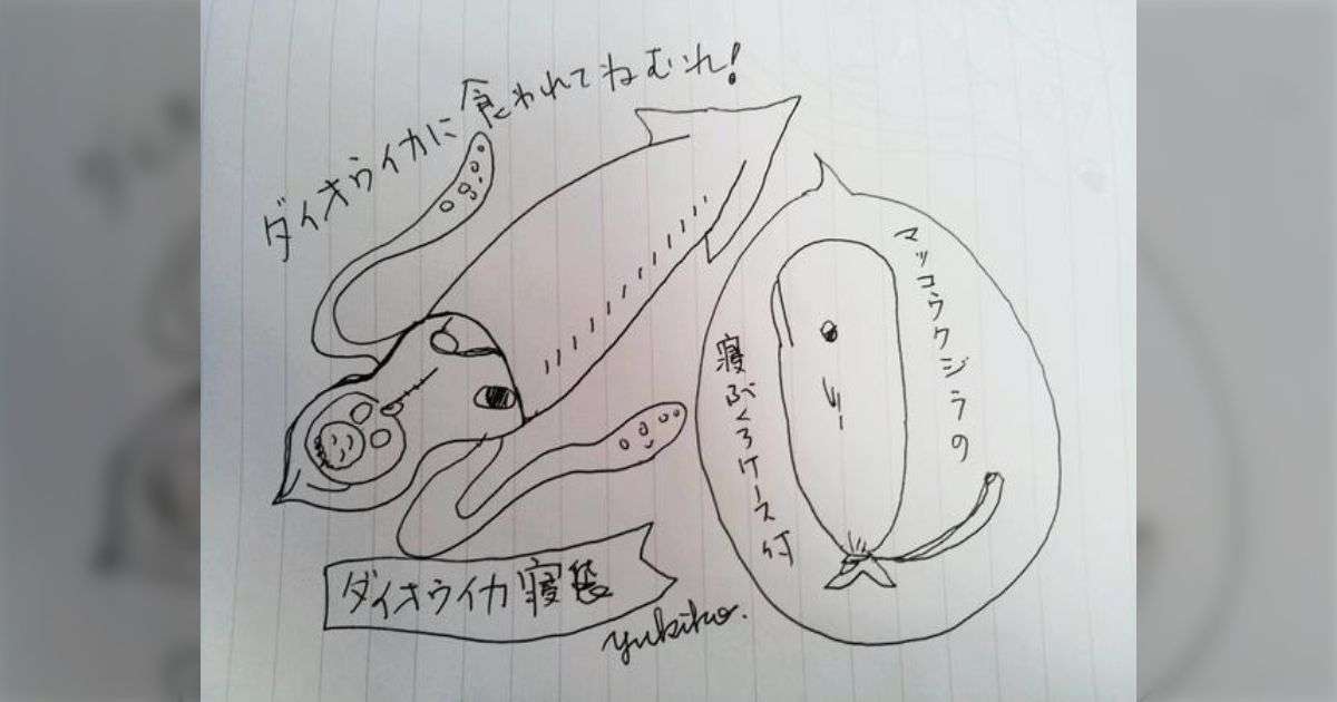 フェリシモ グレーゾーンまとめ - Togetter [トゥギャッター]