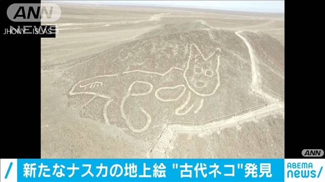 【芸能人の画像禁止】笑いのツボが浅いガル民に見せたい画像やgifが集まるトピ【悪意禁止】part8