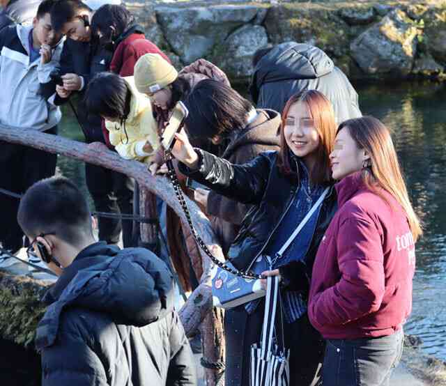 訪日ラッシュで、日本の常識を知らない