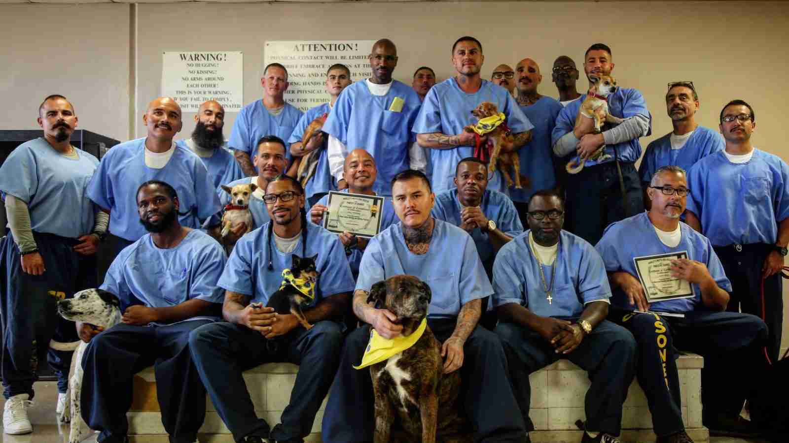 受刑者たちが「犬と二人三脚」で自信を取り戻す─刑務所内の“犬の訓練士養成プログラム”に潜入 | クーリエ・ジャポン