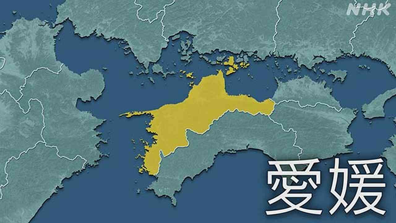 愛媛 上島町 岩城島 帰省中の5歳男児が海で見つかり死亡 | NHK | 愛媛県
