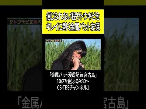 金属バット友保 信じられないほどサトウキビをキレイに剥く#shorts