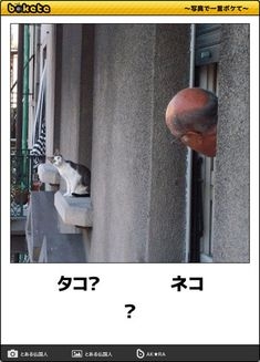 【芸能人の画像禁止】笑いのツボが浅いガル民に見せたい画像やgifが集まるトピ【悪意禁止】part8