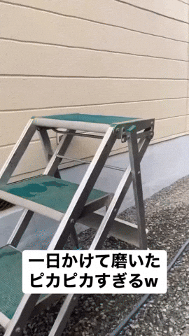 【芸能人の画像禁止】笑いのツボが浅いガル民に見せたい画像やgifが集まるトピ【悪意禁止】part8