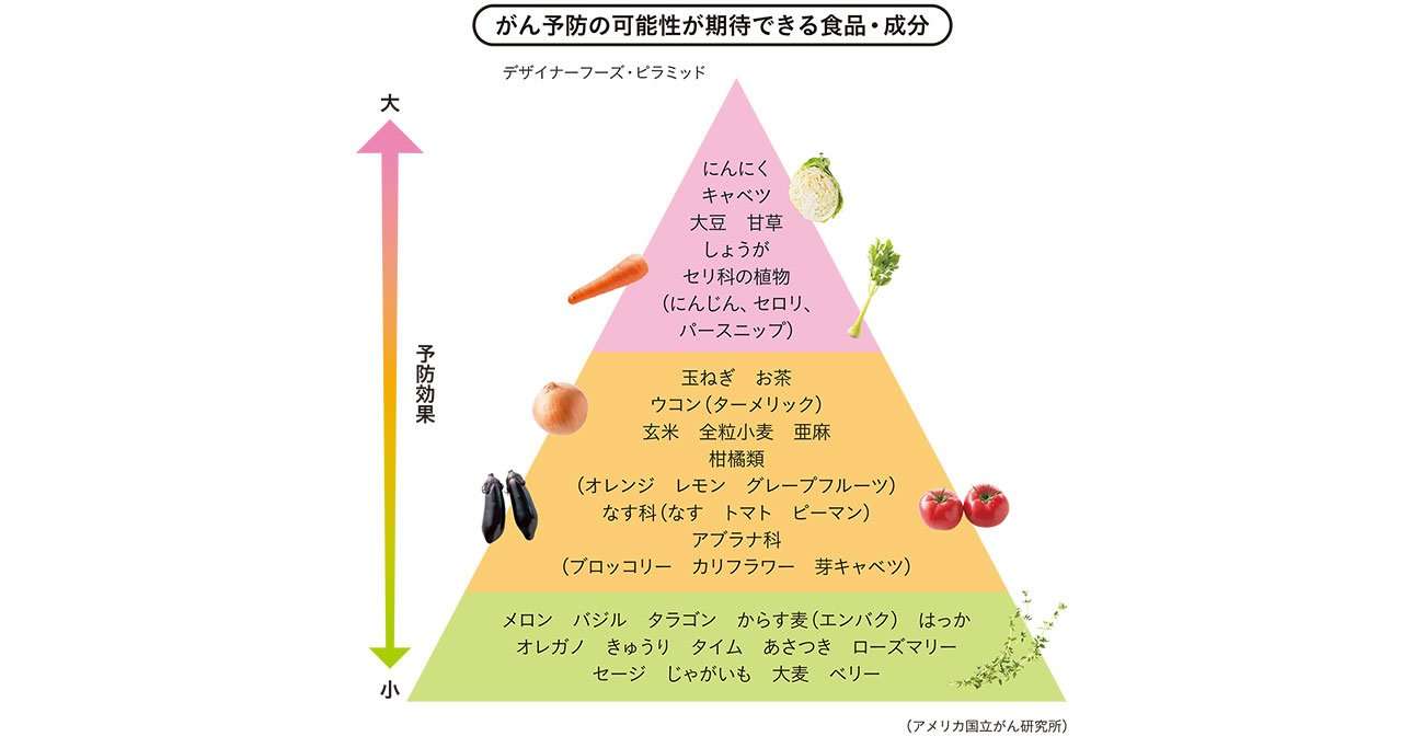 キャベツが「高級食材」に　1玉598円の衝撃　農家では深刻な人手不足で外国人が“参入”